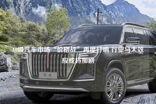 A0级汽车市场“价格战”再度打响 行业马太效应或将加剧